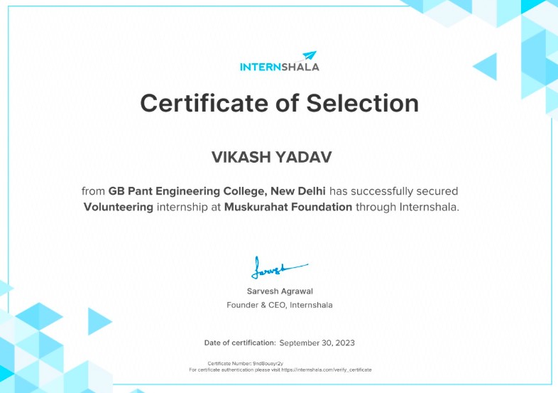 volunteering internship